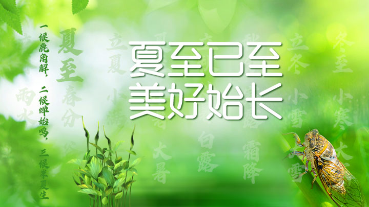 夏至