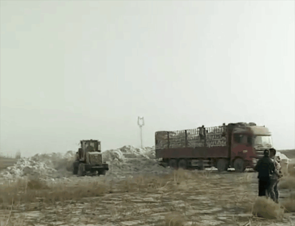 00352561824_4faf1248[1].gif
