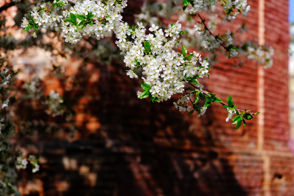 mmexport1776573077205