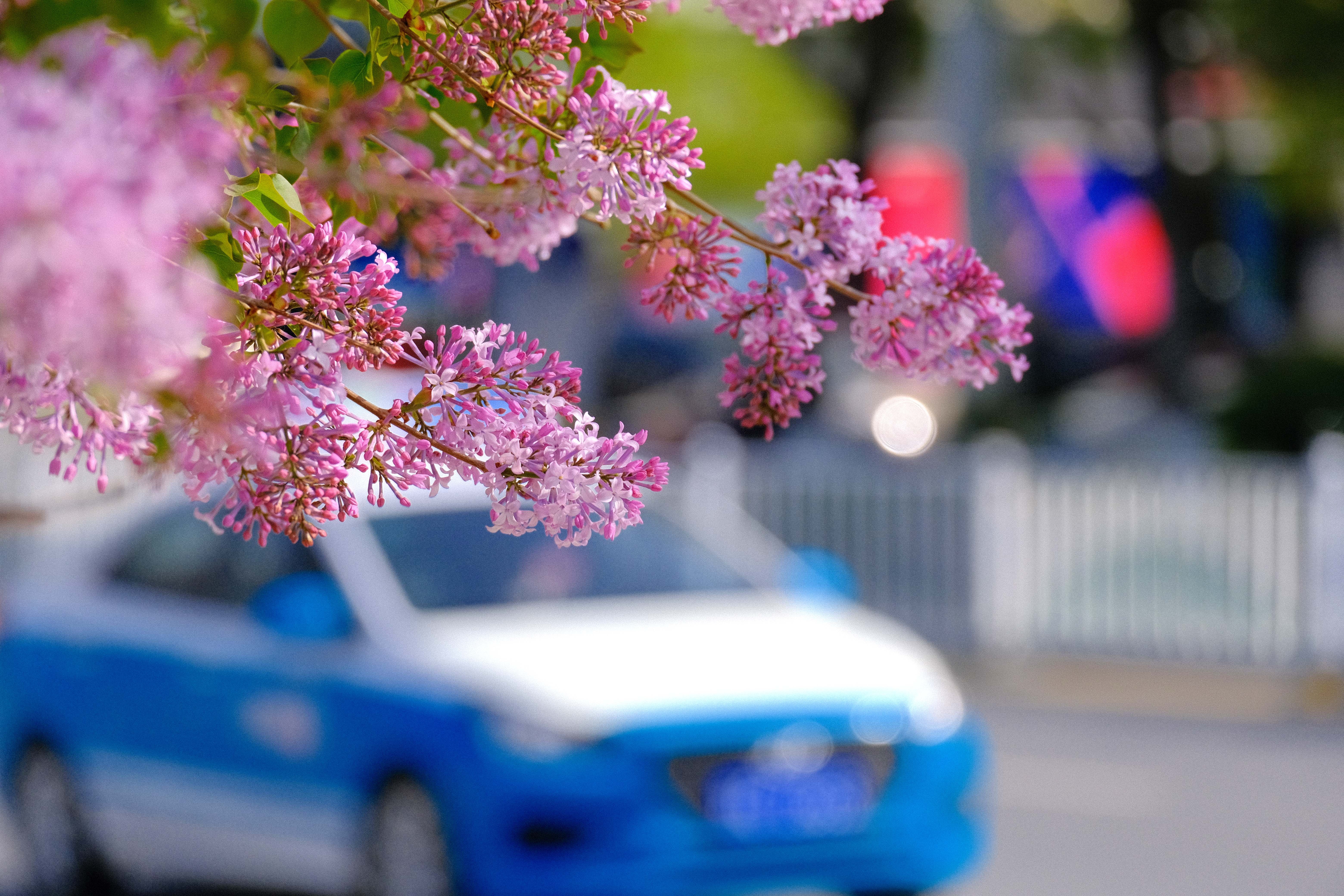 mmexport1776574343204