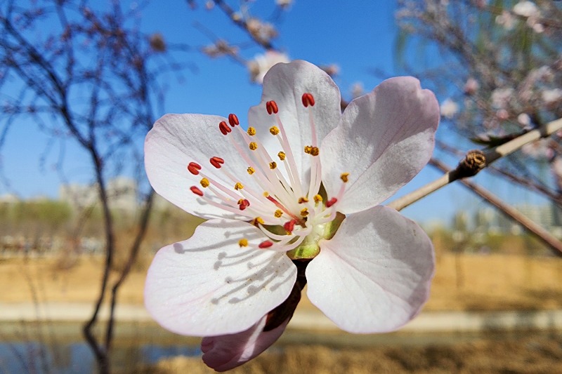 20260313_115553_副本