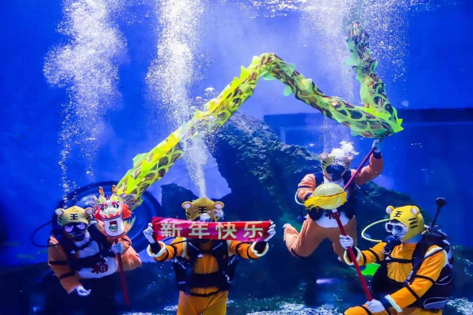 点击查看高清原图