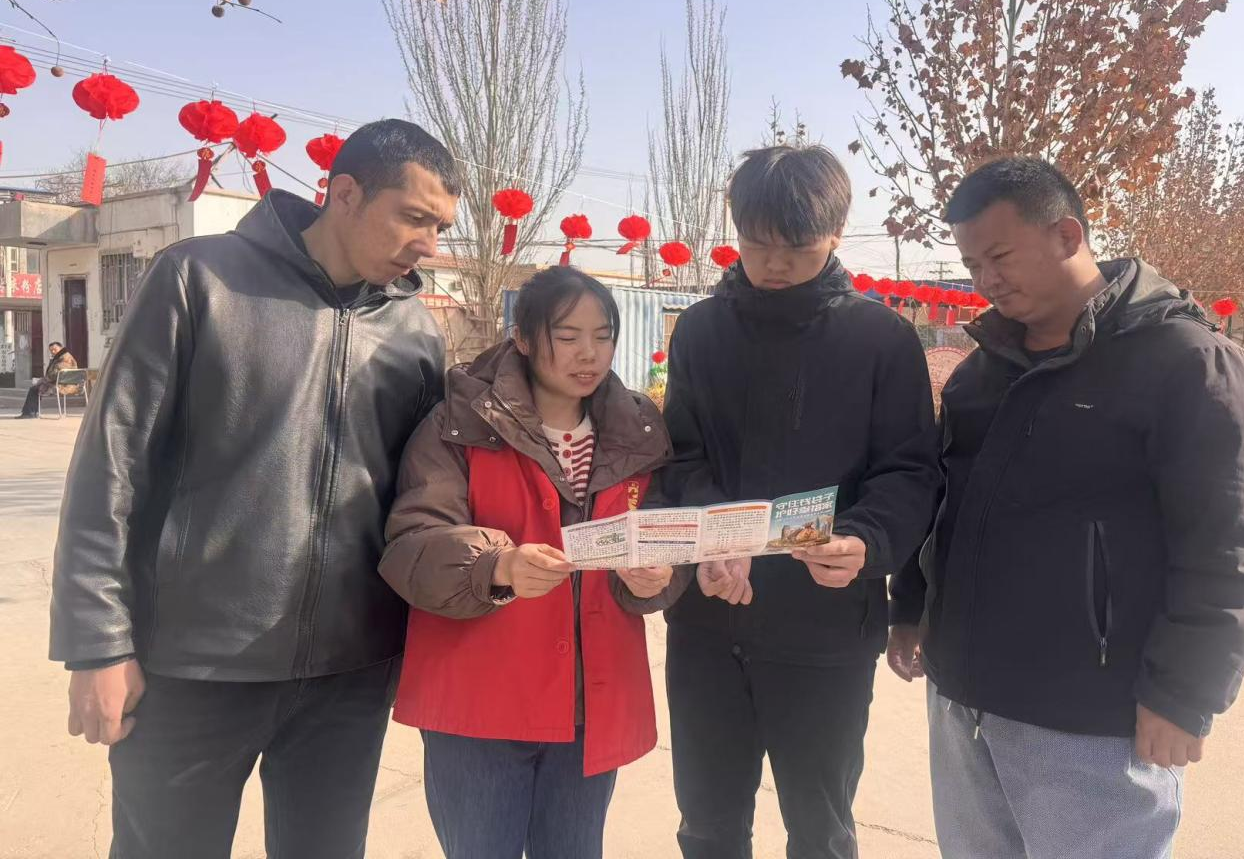 图片3.png 图片3.png